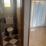 Apartment Niko 1 Radovin